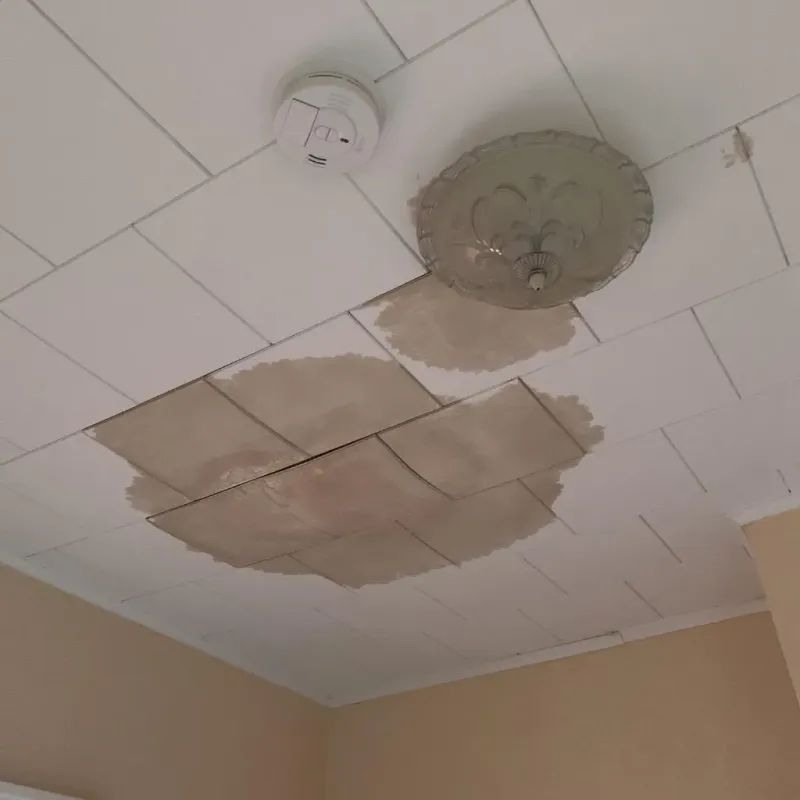Ceiling Water Damage Repair in New Castle Northwest, PA