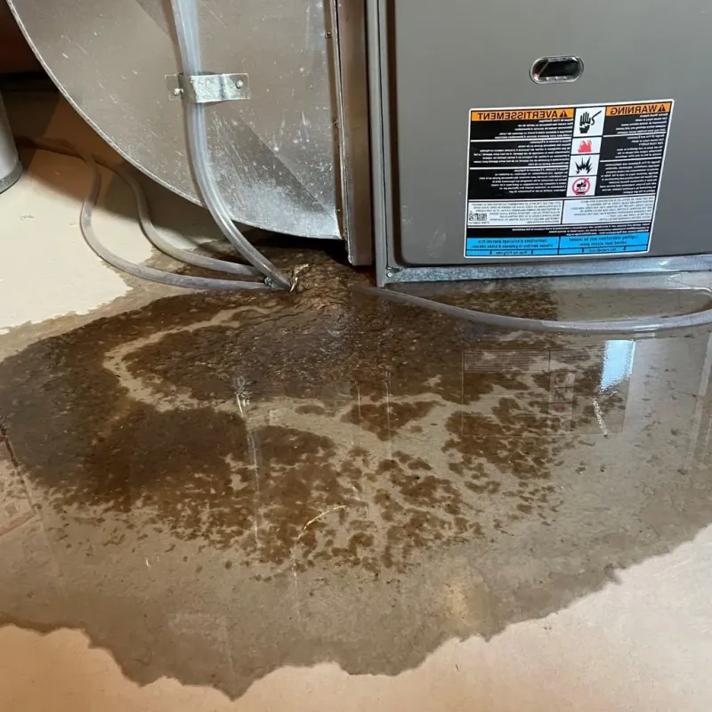 Pipe Burst and Leak Restoration in New Castle Northwest, PA
