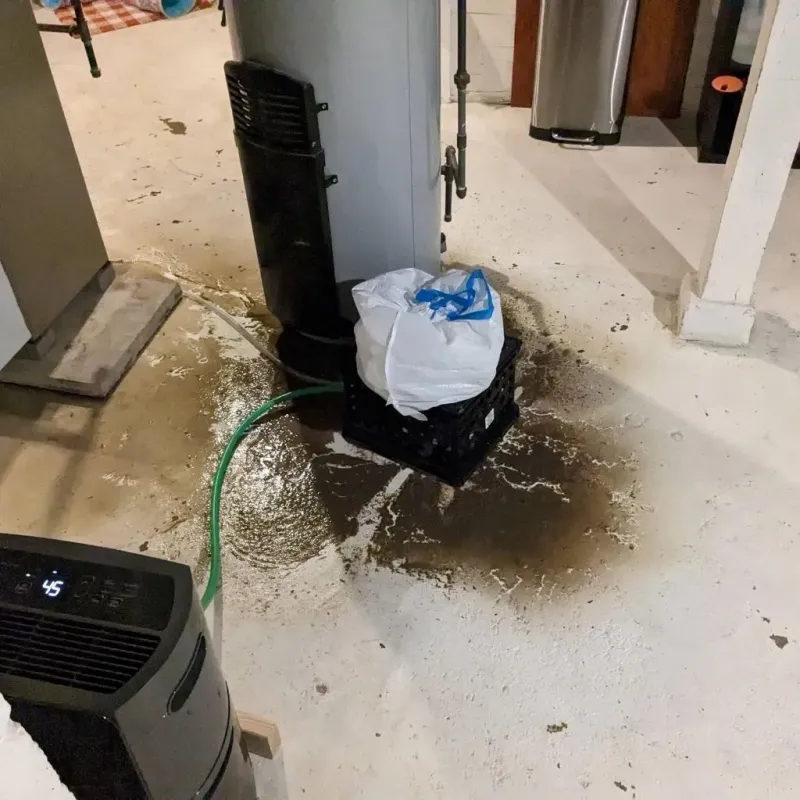 Sewage Backup Cleanup Service in New Castle Northwest, PA